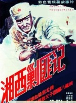 91网在线观看